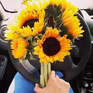 Meet your Posher, Uricela